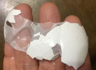 卵殻膜の成分はヒトの皮膚と親和性が良い