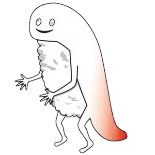 新函館北斗駅に出没するゆるキャラは、ずーしーほっきー。