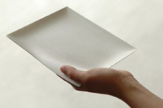 伊藤景パック産業が地球に優しい高級紙皿WASARAで勝負